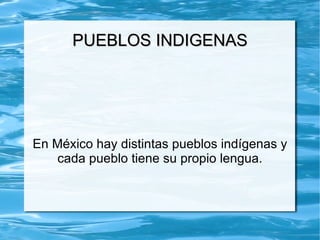 PUEBLOS INDIGENAS En México hay distintas pueblos indígenas y cada pueblo tiene su propio lengua. 