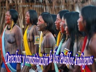 Derechos y constitución de los Pueblos Indigenas  