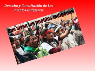 Derecho y Constitución de Los Pueblos Indígenas   