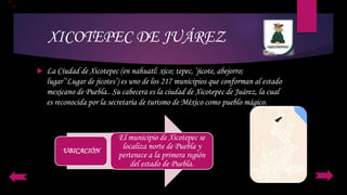 XICOTEPEC DE JUÁREZ
 La Ciudad de Xicotepec (en nahuatl: xico; tepec, ‘jicote, abejorro;
lugar’‘Lugar de jicotes’) es uno de los 217 municipios que conforman al estado
mexicano de Puebla.. Su cabecera es la ciudad de Xicotepec de Juárez, la cual
es reconocida por la secretaría de turismo de México como pueblo mágico.
UBICACIÓN
El municipio de Xicotepec se
localiza norte de Puebla y
pertenece a la primera región
del estado de Puebla.
 