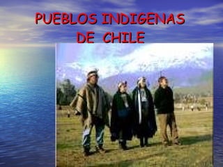 PUEBLOS INDIGENAS
     DE CHILE
 