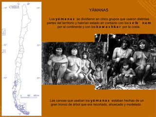 YÁMANAS Las canoas que usaban los  yámanas  estaban hechas de un gran tronco de árbol que era recortado, ahuecado y modelado.  Los  yámanas  se dividieron en cinco grupos que usaron distintas partes del territorio y habrían estado en contacto con los  selk’nam  por el continente y con los  kawashkar  por la costa.  