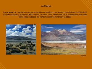 AYMARA Los  aymara  habitaron una gran extensión de territorio y se ubicaron en distintos  pisos ecológicos , como el altiplano y la puna (a 3800 msnm), la sierra y los  valles altos de la precordillera; los valles bajos y las ciudades del norte; los centros mineros y la costa.  Altiplano 