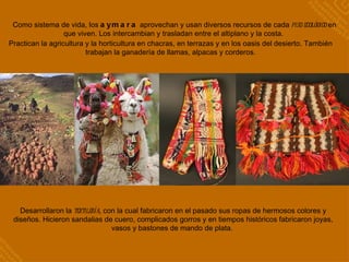 Como sistema de vida, los  aymara  aprovechan y usan diversos recursos de cada  piso ecológico  en que viven. Los intercambian y trasladan entre el altiplano y la costa.  Desarrollaron la  textilería , con la cual fabricaron en el pasado sus ropas de hermosos colores y diseños. Hicieron sandalias de cuero, complicados gorros y en tiempos históricos fabricaron joyas, vasos y bastones de mando de plata.  Practican la agricultura y la horticultura en chacras, en terrazas y en los oasis del desierto. También trabajan la ganadería de llamas, alpacas y corderos. 