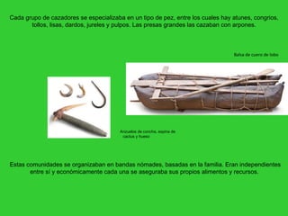 Balsa de cuero de lobo Cada grupo de cazadores se especializaba en un tipo de pez, entre los cuales hay atunes, congrios, tollos, lisas, dardos, jureles y pulpos. Las presas grandes las cazaban con arpones. Estas comunidades se organizaban en bandas nómades, basadas en la familia. Eran independientes entre sí y económicamente cada una se aseguraba sus propios alimentos y recursos.  Anzuelos de concha, espina de  cactus y hueso  