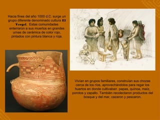 Hacia fines del año 1000 d.C. surge un
grupo diferente denominado cultura El
Vergel. Estas comunidades
enterraron a sus muertos en grandes
urnas de cerámica de color rojo,
pintados con pintura blanca y roja.
Vivían en grupos familiares, construían sus chozas
cerca de los ríos, aprovechándolos para regar los
huertos en donde cultivaban papas, quínoa, maíz,
porotos y zapallo. También recolectaron productos del
bosque y del mar, cazaron y pescaron.
 