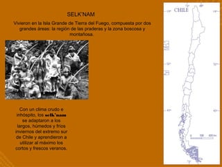 SELK’NAM
Vivieron en la Isla Grande de Tierra del Fuego, compuesta por dos
grandes áreas: la región de las praderas y la zona boscosa y
montañosa.
Con un clima crudo e
inhóspito, los selk’nam
se adaptaron a los
largos, húmedos y fríos
inviernos del extremo sur
de Chile y aprendieron a
utilizar al máximo los
cortos y frescos veranos.
 