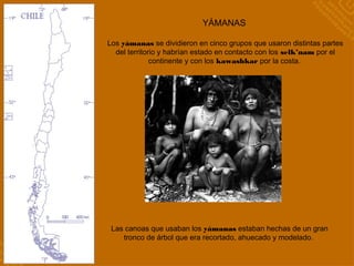 YÁMANAS
Las canoas que usaban los yámanas estaban hechas de un gran
tronco de árbol que era recortado, ahuecado y modelado.
Los yámanas se dividieron en cinco grupos que usaron distintas partes
del territorio y habrían estado en contacto con los selk’nam por el
continente y con los kawashkar por la costa.
 
