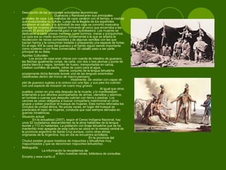 • Descripción de las principales actividades económicas:
Guanacos y Ñandúes eran sus principales
animales de caza. Los métodos de caza variaron con el tiempo, a medida
que evolucionaba su cultura. Luego de la llegada de los españoles
adoptaron el caballo; y la actividad de esa caza se convirtió masculina
aunque las mujeres participaban formando el cerco que encerraba a las
presas. El arma fundamental pasó a ser la boleadora. Las mujeres se
dedicaban a cazar presas menores como zorrinos, maras y quirquinchos.
La caza era su medio económico fundamental a la que se añadía la
recolección de raíces comestibles y de algunas semillas con las que
hacían harina y la consumían tostada o preparando una especie de tortas.
En el siglo XIX la caza del guanaco y el ñandú siguió siendo importante
como sustento y con fines comerciales. El caballo paso a ser parte
principal de su dieta.
• Aportes Culturales:
Los arcos de caza eran chicos con cuerda de intestino de guanaco,
las flechas igualmente cortas, de caña, con dos o tres plumas y punta de
piedra blanca o negra, también de hueso, transportadas en carcaj.
Usaban cuchillos de piedra, odres de cuero para el agua.
Idioma: conjunto de la lengua tehuelche
propiamente dicha llamada tsonek una de las lenguas amerindias
clasificadas dentro del tronco de macro-panoano.
Vestimenta: Se vestían con capas de
piel de guanaco sujetas a la cintura con una faja, y sus pies los cubrían
con una especie de mocasín de cuero muy grueso.
Al igual que otros
pueblos, creían en una vida después de la muerte, y lo manifestaban
enterrando a sus difuntos acompañados de armas, utensilios y adornos,
en tumbas o cuevas que después cubrían con tierra o piedras. Los
varones se veían obligados a buscar compañera matrimonial en otros
grupos y solían practicar el trueque de mujeres. Esta norma reforzaba los
vínculos de unidad étnica. No pocas veces, en lugar del trueque se
practicaba el rapto de mujeres, conducta que casi siempre derivaba en
guerras intraétnicas.
• Situación actual:
En la actualidad (2007), según el Censo Indígena Nacional, hay
unos 52 ciudadanos descendientes de la etnia hablantes de la lengua
tsonek y 113 no hablantes. La población con linaje tehuelche que se ha
mantenido más apegada de esta cultura se ubica en la meseta central de
la provincia argentina de Santa Cruz aunque, como otras etnias
originarias de la Argentina, hoy en día se encuentra acriollada.
En la provincia del
Chubut existen grupos mestizos de mapuches y tehuelches muy
mapuchizados y que se denominan mapuches-tehuelches.
• Bibliografía:
La información la recopilamos de:
el libro nuestras raíces, biblioteca de consultas
Encarta y www.icarito.cl
 