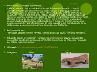  Principales actividades económicas:
era la agricultura; para lo cual realizaban sembrados que llamaban conucos.
Cultivaban mandioca o yuca en sus variedades dulce y amarga, para lo cual
empleaban abonos y sistemas de riego; otros cultivos importantes eran: maíz,
cacahuate (o maní), pimienta, piña, batata, algodón y tabaco. Cazaban pequeños
roedores, iguanas, algunas variedades de pájaros y serpientes; pescaban con varias
técnicas empleando anzuelos, redes, veneno, etc. Fermentaban la yuca para
obtener una bebida embriagadora llamada uicú o cusubí. El casabe, que es una
especie de pan de yuca o torta circular de yuca tostada al sol, formaba parte de su
dieta regular y es consumido aún hoy día en la zona del Caribe.
 Aportes culturales:
Fabricaban objetos como la hamaca, camas de leña (o coyes, como las llamaban).
 Situación actual: investigación realizada recientemente por algunos estudiantes
universidad puerto rico arrojo que por el ADN mitocondrial se encuentra heredado
por el lado materno indigino .
 Sitio Web: http://es.wikipedia.org/wiki/Ta%C3%ADno
 Imágenes: Aldea Figura
 