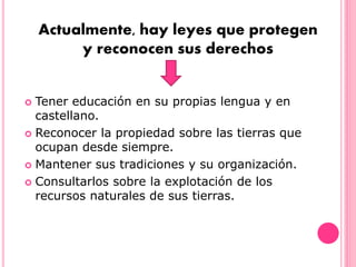  Tener educación en su propias lengua y en
castellano.
 Reconocer la propiedad sobre las tierras que
ocupan desde siempre.
 Mantener sus tradiciones y su organización.
 Consultarlos sobre la explotación de los
recursos naturales de sus tierras.
Actualmente, hay leyes que protegen
y reconocen sus derechos
 