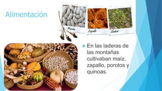 Alimentación
 En las laderas de
las montañas
cultivaban maíz,
zapallo, porotos y
quinoas.
 