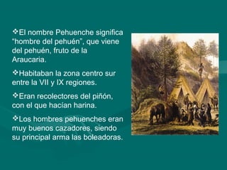 El nombre Pehuenche significa 
“hombre del pehuén”, que viene 
del pehuén, fruto de la 
Araucaria. 
Habitaban la zona centro sur 
entre la VII y IX regiones. 
Eran recolectores del piñón, 
con el que hacían harina. 
Los hombres pehuenches eran 
muy buenos cazadores, siendo 
su principal arma las boleadoras. 
 