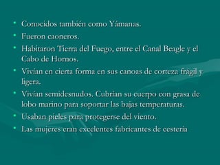 • CCoonnoocciiddooss ttaammbbiiéénn ccoommoo YYáámmaannaass.. 
• FFuueerroonn ccaaoonneerrooss.. 
• HHaabbiittaarroonn TTiieerrrraa ddeell FFuueeggoo,, eennttrree eell CCaannaall BBeeaaggllee yy eell 
CCaabboo ddee HHoorrnnooss.. 
• VViivvííaann eenn cciieerrttaa ffoorrmmaa eenn ssuuss ccaannooaass ddee ccoorrtteezzaa ffrráággiill yy 
lliiggeerraa.. 
• VViivvííaann sseemmiiddeessnnuuddooss.. CCuubbrrííaann ssuu ccuueerrppoo ccoonn ggrraassaa ddee 
lloobboo mmaarriinnoo ppaarraa ssooppoorrttaarr llaass bbaajjaass tteemmppeerraattuurraass.. 
• UUssaabbaann ppiieelleess ppaarraa pprrootteeggeerrssee ddeell vviieennttoo.. 
• LLaass mmuujjeerreess eerraann eexxcceelleenntteess ffaabbrriiccaanntteess ddee cceesstteerrííaa 
 