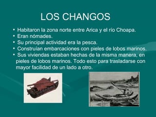 LOS CHANGOS 
• Habitaron la zona norte entre Arica y el río Choapa. 
• Eran nómades. 
• Su principal actividad era la pesca. 
• Construían embarcaciones con pieles de lobos marinos. 
• Sus viviendas estaban hechas de la misma manera, en 
pieles de lobos marinos. Todo esto para trasladarse con 
mayor facilidad de un lado a otro. 
 