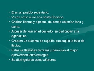 • Eran un pueblo sedentario. 
• Vivían entre el río Loa hasta Copiapó. 
• Criaban llamas y alpacas, de donde obtenían lana y 
carne. 
• A pesar de vivir en el desierto, se dedicaban a la 
agricultura. 
• Crearon un sistema de regadío que suplía la falta de 
lluvias. 
• Estas se llamaban terrazas y permitían el mejor 
aprovechamiento del agua. 
• Se distinguieron como alfareros. 
 