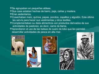 Se agrupaban en pequeñas aldeas.
Sus casa estaban hechas de barro, paja, cañas y madera.
Eran sedentarios.
Cosechaban maíz, quínoa, papas, porotos, zapallos y algodón. Este último
les servía para hacer sus vestimentas y otros textiles.
Complementaban su dieta alimenticia con productos derivados de sus
actividades de pastoreo, es decir, carne de llama.
Aprendieron el uso de las balsas de cuero de lobo que les permitió
desarrollar actividades de pesca en alta mar.
 