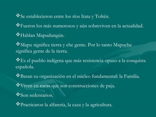 Se establecieron entre los ríos Itata y Toltén.
Fueron los más numerosos y aún sobreviven en la actualidad.
Hablan Mapudungún.
Mapu significa tierra y che gente. Por lo tanto Mapuche
significa gente de la tierra.
Es el pueblo indígena que más resistencia opuso a la conquista
española.
Basan su organización en el núcleo fundamental: la Familia.
Viven en rucas que son construcciones de paja.
Son sedentarios.
Practicaron la alfarería, la caza y la agricultura.
 
