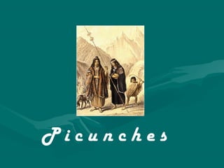 P i c u n c h e s
 