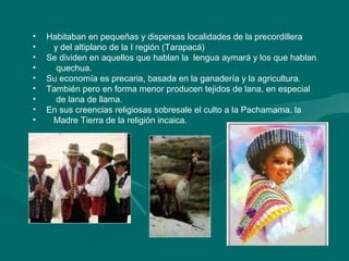 • Habitaban en pequeñas y dispersas localidades de la precordillera
• y del altiplano de la I región (Tarapacá)
• Se dividen en aquellos que hablan la lengua aymará y los que hablan
• quechua.
• Su economía es precaria, basada en la ganadería y la agricultura.
• También pero en forma menor producen tejidos de lana, en especial
• de lana de llama.
• En sus creencias religiosas sobresale el culto a la Pachamama, la
• Madre Tierra de la religión incaica.
 