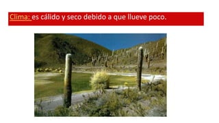 Clima: es cálido y seco debido a que llueve poco.
 