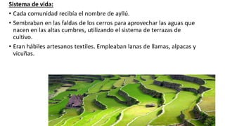 Sistema de vida:
• Cada comunidad recibía el nombre de ayllú.
• Sembraban en las faldas de los cerros para aprovechar las aguas que
nacen en las altas cumbres, utilizando el sistema de terrazas de
cultivo.
• Eran hábiles artesanos textiles. Empleaban lanas de llamas, alpacas y
vicuñas.
 