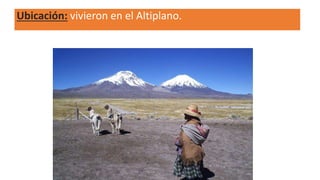 Ubicación: vivieron en el Altiplano.
 