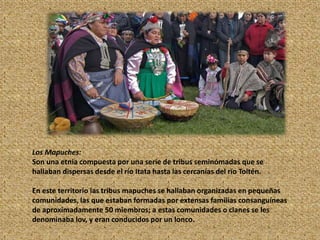 Los Mapuches:
Son una etnia compuesta por una serie de tribus seminómadas que se
hallaban dispersas desde el río Itata hasta las cercanías del río Toltén.
En este territorio las tribus mapuches se hallaban organizadas en pequeñas
comunidades, las que estaban formadas por extensas familias consanguíneas
de aproximadamente 50 miembros; a estas comunidades o clanes se les
denominaba lov, y eran conducidos por un lonco.
 