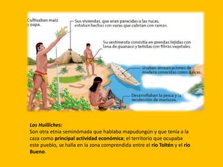 Los Huilliches:
Son otra etnia seminómada que hablaba mapudungún y que tenía a la
caza como principal actividad económica; el territorio que ocupaba
este pueblo, se halla en la zona comprendida entre el río Toltén y el río
Bueno.
 
