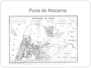 Puna de Atacama 