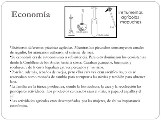 Economía   Existieron diferentes prácticas agrícolas. Mientras los picunches construyeron canales de regadío, los araucanos utilizaron el sistema de roza.  Su economía era de autoconsumo o subsistencia. Para esto dominaron los ecosistemas desde la Cordillera de los Andes hasta la costa. Cazaban guanacos, huemules y roedores, y de la costa lograban extraer pescados y mariscos.  Poseían, además, rebaños de ovejas, pero ellas rara vez eran sacrificadas, pues se reservaban como moneda de cambio para comprar a las novias y también para obtener lana.  La familia era la fuerza productiva, siendo la horticultura, la caza y la recolección las principales actividades. Los productos cultivados eran el maíz, la papa, el zapallo y el ají.  Las actividades agrícolas eran desempeñadas por las mujeres, de ahí su importancia económica. Instrumentos agrícolas  mapuches 