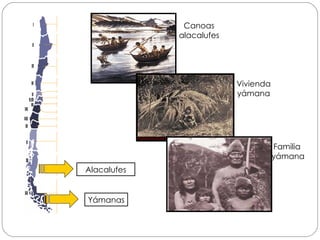 Alacalufes Yámanas Canoas alacalufes Vivienda yámana Familia  yámana 
