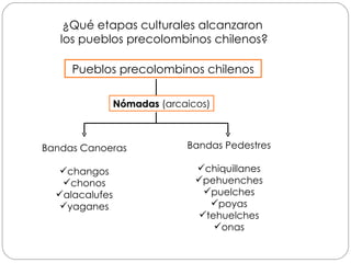 ¿Qué etapas culturales alcanzaron  los pueblos precolombinos chilenos? Bandas Canoeras changos chonos alacalufes yaganes Bandas Pedestres chiquillanes pehuenches puelches poyas tehuelches onas Nómadas  (arcaicos) Pueblos precolombinos chilenos 