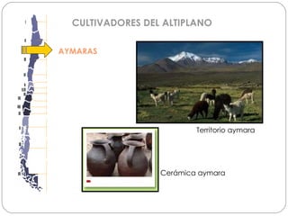 AYMARAS CULTIVADORES DEL ALTIPLANO Territorio aymara Cerámica aymara 
