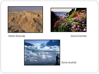 Zona Central Zona Austral Norte Grande 