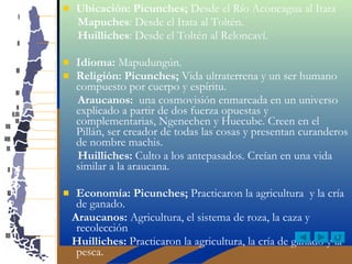 Ubicación: Picunches;  Desde el Río Aconcagua al Itata Mapuches : Desde el Itata al Toltén. Huilliches : Desde el Toltén al Reloncaví. Idioma:  Mapudungún. Religión: Picunches;  Vida ultraterrena y un ser humano compuesto por cuerpo y espíritu. Araucanos:   una cosmovisión enmarcada en un universo explicado a partir de dos fuerza opuestas y complementarias, Ngenechen y Huecube. Creen en el Pillán, ser creador de todas las cosas y presentan curanderos de nombre machis. Huilliches:  Culto a los antepasados. Creían en una vida similar a la araucana.  Economía: Picunches;  Practicaron la agricultura  y la cría de ganado.  Araucanos:  Agricultura, el sistema de roza, la caza y recolección Huilliches:  Practicaron la agricultura, la cría de ganado y la pesca.  