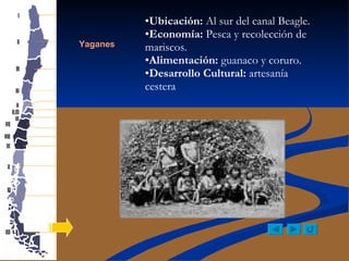 Yaganes Ubicación:  Al sur del canal Beagle. Economía:  Pesca y recolección de mariscos. Alimentación:  guanaco y coruro. Desarrollo Cultural:  artesanía cestera 