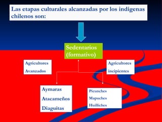 Las etapas culturales alcanzadas por los indígenas chilenos son: Sedentarios (formativo) Agricultores Avanzados Agricultores incipientes Aymaras Atacameños Diaguitas Picunches Mapuches Huilliches 