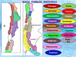 Poyas
Cuncos
Atacameños
Rapa -
Nui
Chonos
Chongos
Yaganes
Aymaras
Mapuches
Aónikenk
Selk’nam
Kewésqar
Puelches
Chiquiyanes
Diaguitas
Picunches
Pehuenches
Huilliches
 