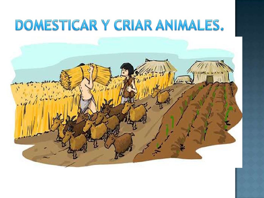Pueblos sedentarios