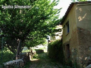 Aguafría (Almonaster) 
