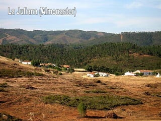 La Juliana (Almonaster) 