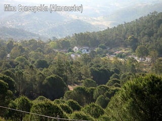 Mina Concepción (Almonaster) 