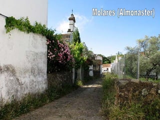 Molares (Almonaster) 