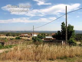 Montes Blancos (Almonaster) 