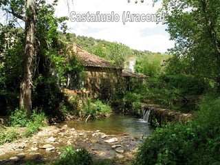 Castañuelo (Aracena) 