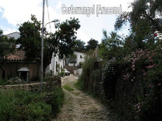 Corterrangel (Aracena) 