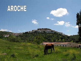 AROCHE 