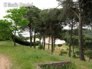El Mustio (Aroche) 