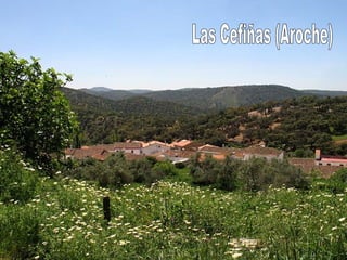 Las Cefiñas (Aroche) 